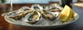 oysters plate, AI generated Royalty Free Stock Photo