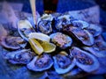 Oysters on the plate - image