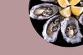 Oysters plate with lemon on dark pink background.