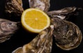 Oysters plate with lemon on grey background