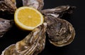 Oysters plate with lemon on grey background