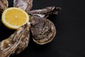 Oysters plate with lemon on grey background