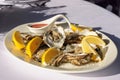 Oysters plate Royalty Free Stock Photo