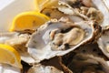 Oysters plate Royalty Free Stock Photo