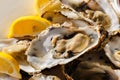 Oysters plate Royalty Free Stock Photo