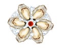 Oysters on a platter