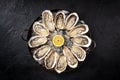 Oysters. A platter of a dozen fresh oysters with lemon Royalty Free Stock Photo