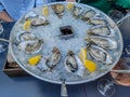 Oysters platter with lemon, ice and sauce served on a restaurant table Royalty Free Stock Photo