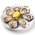 Oysters platter with lemon and ice on white plate. With clipping path Royalty Free Stock Photo