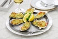 oysters rockefeller Royalty Free Stock Photo