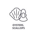 Oysters, scallops line icon, outline sign, linear symbol, vector, flat illustration