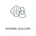 Oysters, scallops vector line icon, linear concept, outline sign, symbol