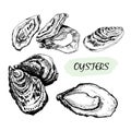 Oysters Royalty Free Stock Photo