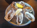 Oysters