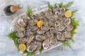 Oysters and white wine in a restaurant on wooden background