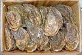 Oysters Wooden Crate