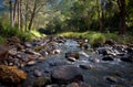 Ozzy River Bed Royalty Free Stock Photo