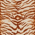 Seamless Animal Print pattern with beautiful tiger stripes