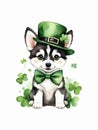 Watercolor painting of cute Siberian husky puppy in green hat and bow tie with clover leaves Royalty Free Stock Photo