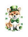 Watercolor painting of cute shiba inu puppy in leprechaun hat and green bow tie with clover leaves Royalty Free Stock Photo