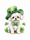 Watercolor painting of cute maltese dog wearing green leprechaun hat and bow tie with clover leaves in St. Patrick\'s Day Royalty Free Stock Photo