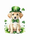 Cute labrador puppy in green leprechaun hat and bow tie sitting on clover leaves painted in watercolor Royalty Free Stock Photo