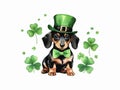 Cute Dachshund dog in green hat and bow tie with clover leaves isolated on white background Royalty Free Stock Photo