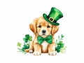 Cute Golden Retriever puppy in leprechaun hat and green bow tie with clover leaves painted in watercolor Royalty Free Stock Photo