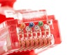 8P8C, RJ-45 crimped red ethernet connector macro, extreme closeup on end, pins, unshielded twisted pair UTP internet cable up Royalty Free Stock Photo