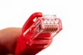 8P8C, RJ-45 crimped red ethernet connector, unshielded twisted pair UTP internet cable end in hand, macro, detail, closeup