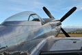 P-51D Mustang Aircraft Royalty Free Stock Photo