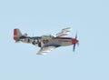 P-51D Mustang Man-O-war flying on clear day