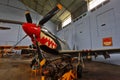 P-51D Mustang