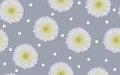 Daisy flower seamless pattern white ox eye daisies floral ornamental decorative vector pattern Royalty Free Stock Photo