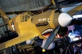 P-40E Kittyhawk Lope's Hope Royalty Free Stock Photo