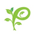 P letter ecology nature element vector icon logo design