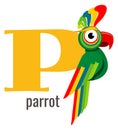 P letter symbol. Parrot card. Alphabet word