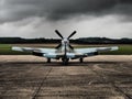 P51 Mustang aircraft Royalty Free Stock Photo