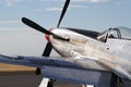 P-51 Mustang Royalty Free Stock Photo