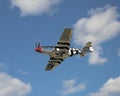 P51 Mustang coming in for a landing Royalty Free Stock Photo