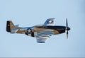 A P-51 Mustang fighter aircraft flying level in clear blue sky