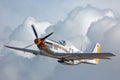 A P-51 Mustang Fighter Passing Through Storm Clouds Royalty Free Stock Photo