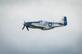 P51 Mustang Vintage Aircraft Royalty Free Stock Photo