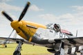 P51 Mustang Vintage Aircraft Royalty Free Stock Photo