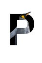`P` with a penguin standing in side.