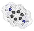 p-Phenylenediamine (PPD) hair dye molecule. Also precursor in polymer synthesis. Known contact allergen, possibly carcinogenic