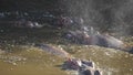 180p slow motion of a hippo snorting water at a pool in serengeti national park