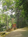 Pa Cho Waterfall - Budo-Sungai Padi Nation Park