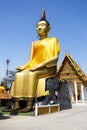 Pa Lelai buddha statue or Buddha receiving food offerings from elephant monkey for thai people respect praying at Wat See Roy or