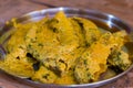 Pabda or Indian butterfish curry prepared with mustard sauce in traditional Bengali culinary style. Royalty Free Stock Photo